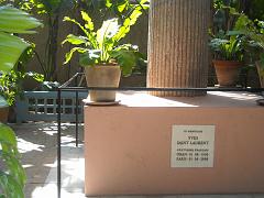 MARRAKECH 2012 MEMORIAL YSL LE MEMORIAL  (3)